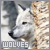 Matty-wolf's avatar
