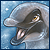 maui-dolphin's avatar