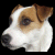 maxthedog's avatar