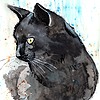 MaziMoon13's avatar