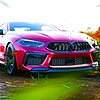 Mclar3nsenna's avatar