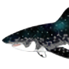 Mcraelodon's avatar