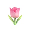 Tulip 3D by Mcxmean on DeviantArt