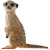 Meerkatgirl's avatar
