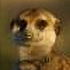 MeerkatManorFanClub's avatar