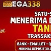 mega338s's avatar