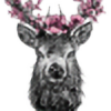 melliflu0us-moose's avatar