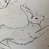 MenagerieRabbit's avatar
