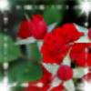 merilinnuke14's avatar
