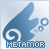 Metamor's avatar