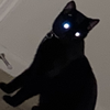 MeXDreams's avatar