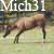 Mich31's avatar