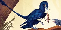 Micro by SmallMicroraptor on DeviantArt