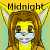 Mid-Light's avatar