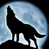 Midnight----Wolf's avatar