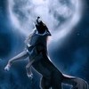 midnightdragon6's avatar