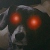 midnightstar-Adopts's avatar