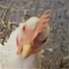 Migrating-Chicken's avatar
