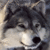 MiharuChobit's avatar