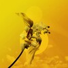 Mihray's avatar
