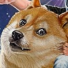 Miimochi's avatar