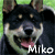 MikoandSami's avatar