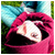 Milchcocktail's avatar