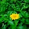 minhquanplayer's avatar