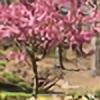 Miracle2074's avatar