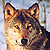 mirkawolf's avatar