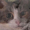 Mirmulnirisco's avatar