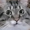 Mist-Cat's avatar