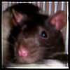 mistressobscene's avatar