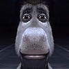 Misty-Hooves's avatar