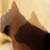 mistyt-paws's avatar