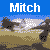 MitchLux's avatar