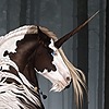 Mithrien's avatar