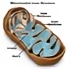 MitocondriaExpress's avatar