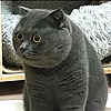 MIxianR's avatar