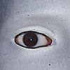 MKDjahli's avatar