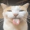 mlgbrofrick's avatar