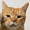 mnisdodo's avatar