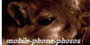 Mobile-Phone-Photos's avatar