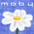 moby's avatar