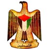mohammedalsh's avatar