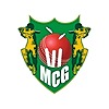 mohitcricketground's avatar