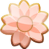 momoka-admin's avatar