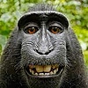 monkey096's avatar
