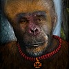 MonkeyBoyFeet's avatar