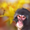 monki's avatar